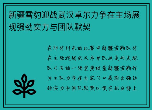 新疆雪豹迎战武汉卓尔力争在主场展现强劲实力与团队默契