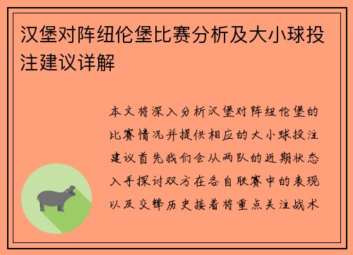 汉堡对阵纽伦堡比赛分析及大小球投注建议详解